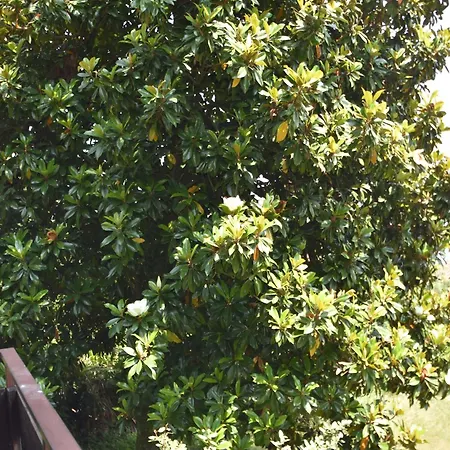 Сasa de vacaciones In Valdora With Maggiore Views